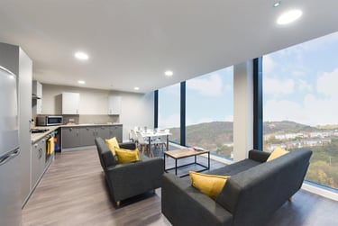 1 bed flat, New Cut Road, City Centre, Swansea, SA12DN - Image 4